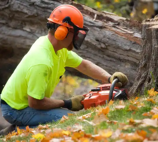 tree services Pickens